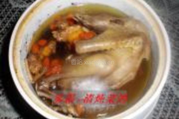 清炖菜鸽的做法图解6