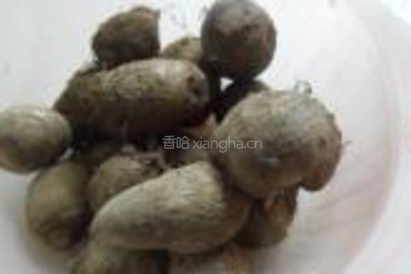 毛芋头蘸糖的做法图解1