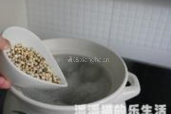薏米冬瓜排骨汤的做法图解5