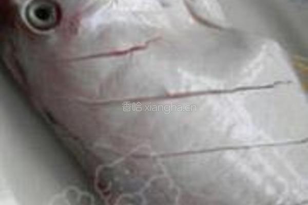 香煎剥皮鱼的做法图解1
