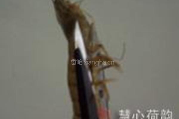 慈禧赛螃蟹的做法图解12