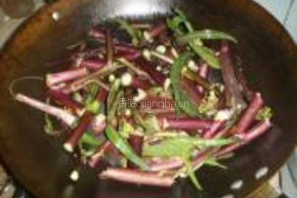 蒜茸红菜苔的做法图解4