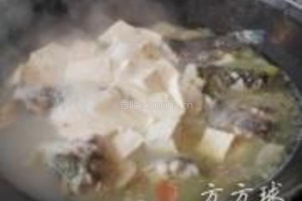 鲶鱼豆腐汤的做法图解6