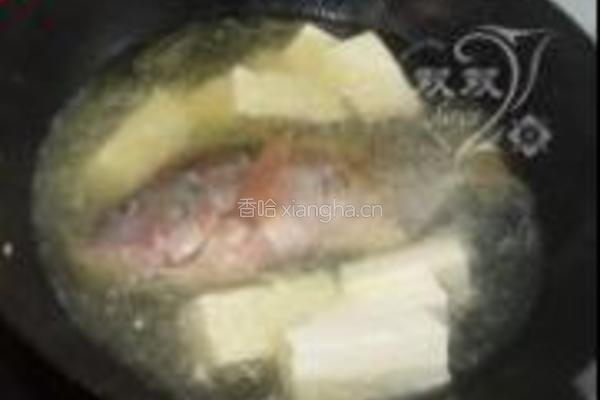 豆腐炖鱼的做法图解3