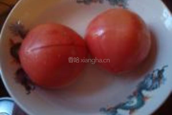 牛肉炖西红柿的做法图解5