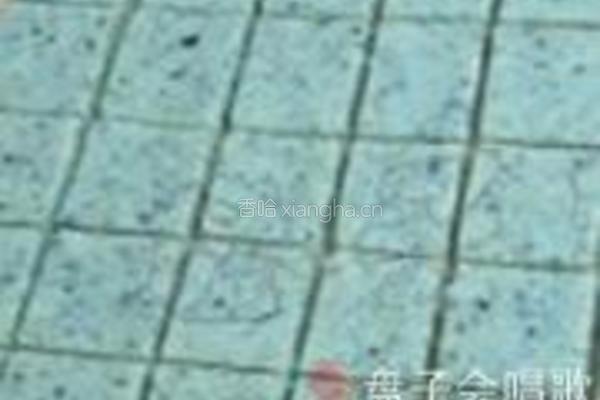 虾粉海苔苏打小饼的做法图解9