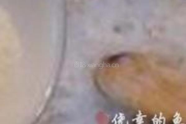 传统广式萝卜糕的做法图解5