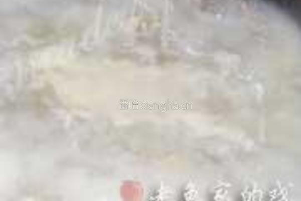桔皮土鸭萝卜汤的做法图解3