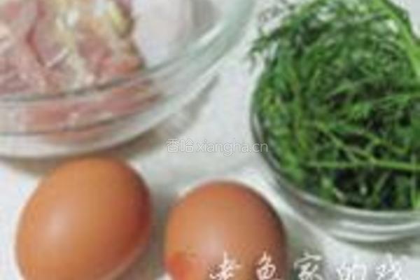 茴香鸡肉炒蛋的做法图解1