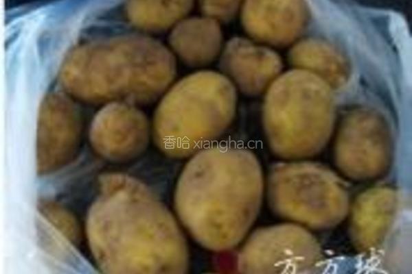 压锅大鹅炖土豆的做法图解1