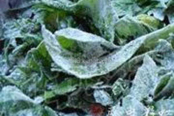 粉蒸芹菜叶的做法图解3