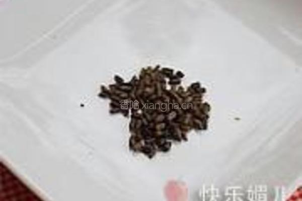 野菊花决明子茶的做法图解2