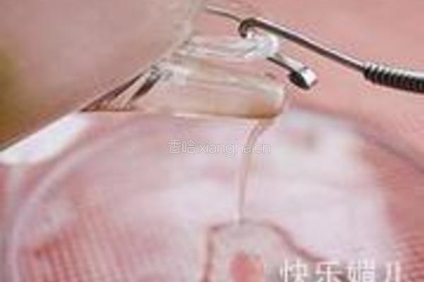 野菊花决明子茶的做法图解4