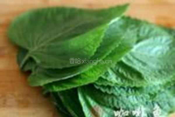 苏叶混搭沙拉的做法图解1
