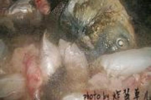 鱼鳔鱼头豆腐汤的做法图解4