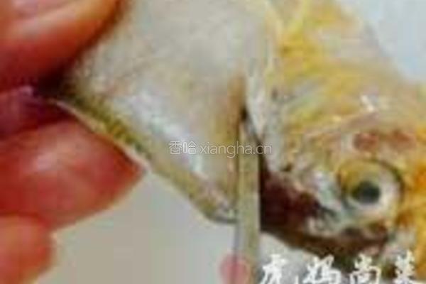 油炸小黄鱼的做法图解1