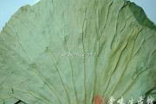 荷香粥的做法图解1