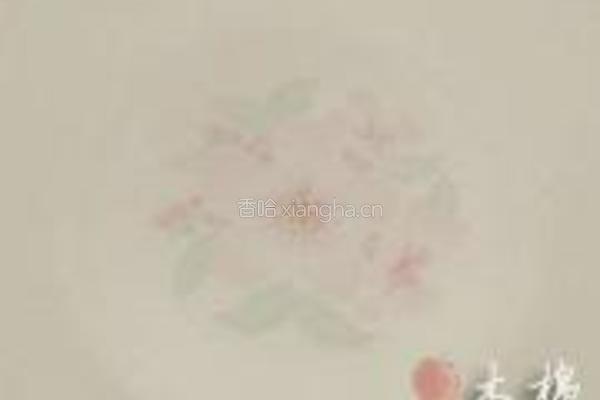 什锦水果罐头的做法图解4