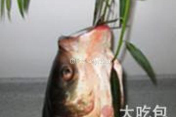 酱炖鲢鱼的做法图解1
