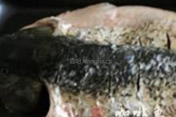 老干妈豆豉烤鱼的做法图解8