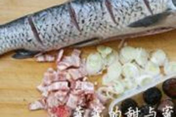 干烧鱼的做法图解2