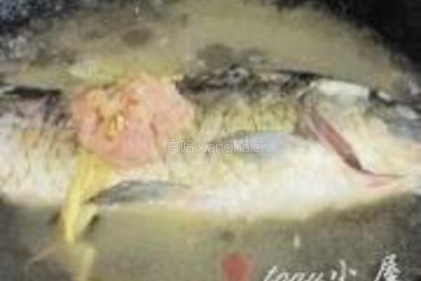 野生鲫鱼汤的做法图解9