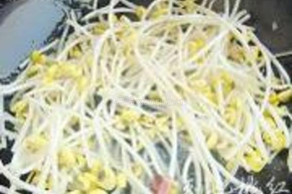 黄豆芽炒粉条的做法图解8