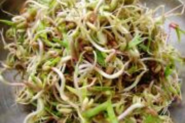 绿豆芽炒干豆腐丝的做法图解1
