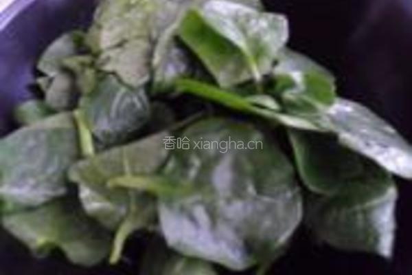 蒜蓉木耳菜的做法图解5