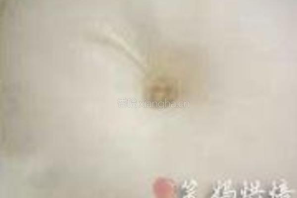 橄榄型酥香面包的做法图解8