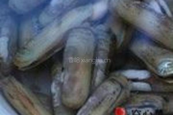 酱汁蛏子的做法图解1