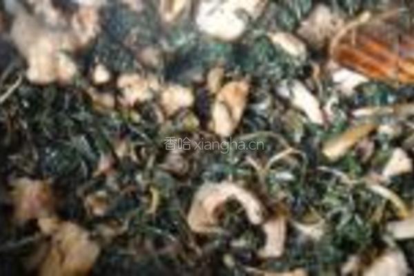 蒲公英炒肉片的做法图解8