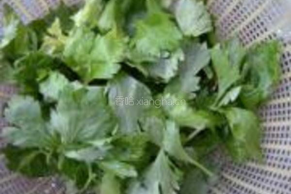 芹菜叶炒香干的做法图解1