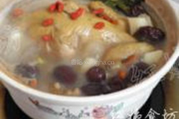 紫灵芝炖鸡的做法图解14