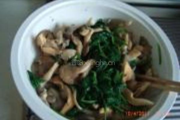 菠菜拌平菇的做法图解5