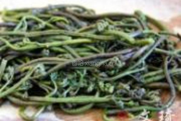 炒蕨菜的做法图解1