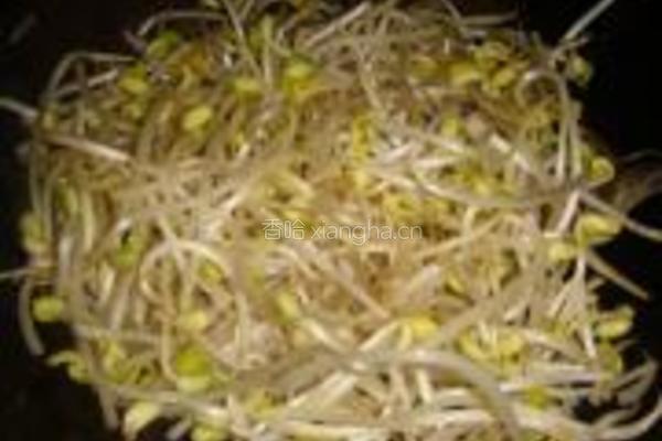 黄豆酱拌炒黄豆芽的做法图解4