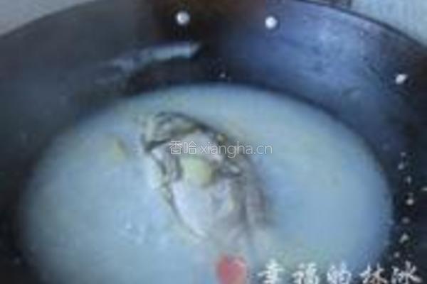 白萝卜丝鲫鱼汤的做法图解6