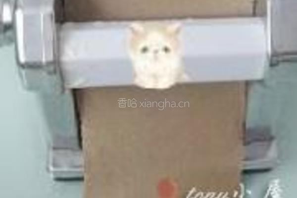 荞麦凉面的做法图解6
