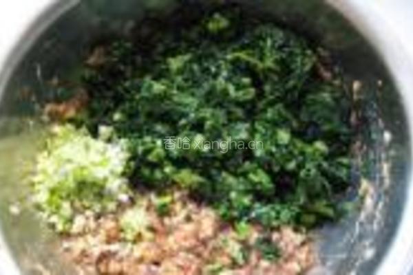 小白菜猪肉水饺的做法图解3