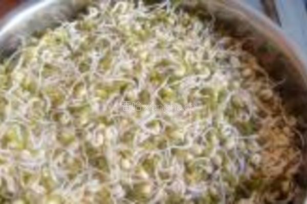 泡发绿豆芽的做法图解10