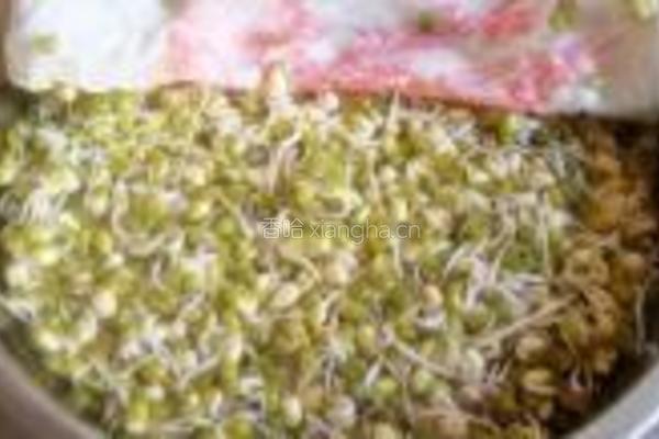 泡发绿豆芽的做法图解9
