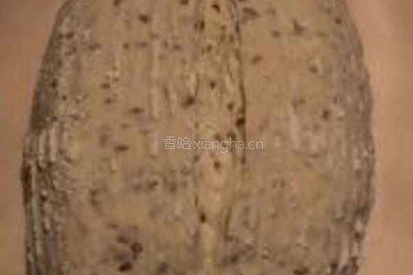 亚麻籽面包的做法图解11