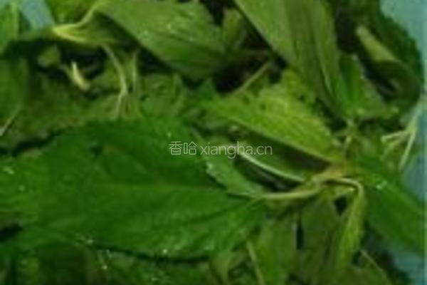 蒜香麻叶的做法图解1
