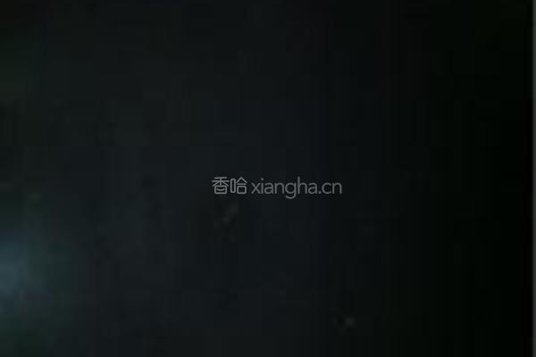 蒜香麻叶的做法图解5