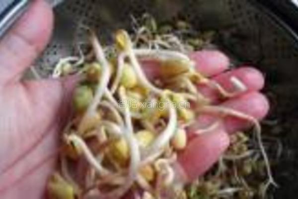 自发黄豆芽的做法图解14