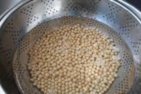 自发黄豆芽的做法图解2