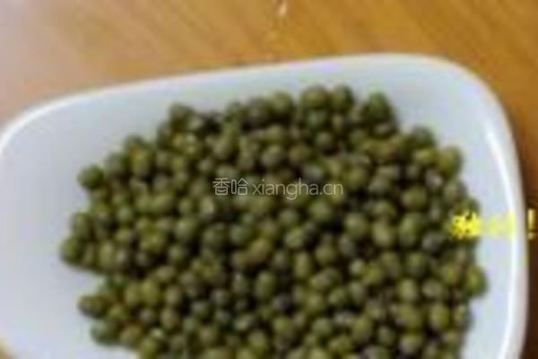 自发绿豆芽的做法图解1