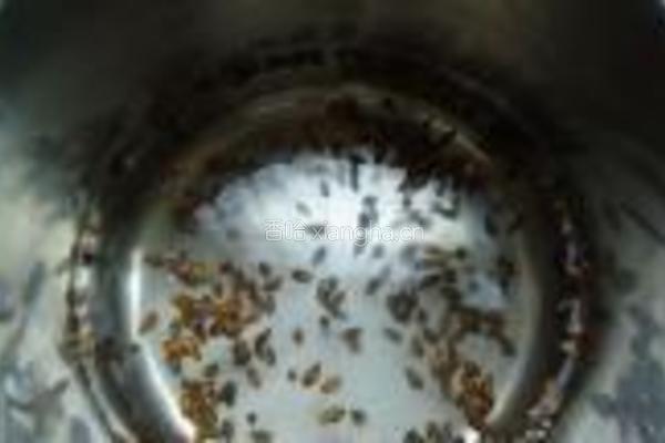 红枣大麦茶的做法图解4