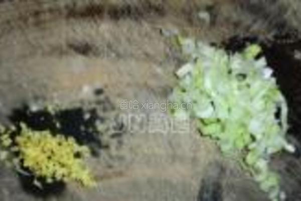 彩丁炸酱面的做法图解6